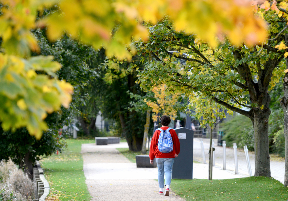 Leaves begin to yellow over the footpath next to the Brayford